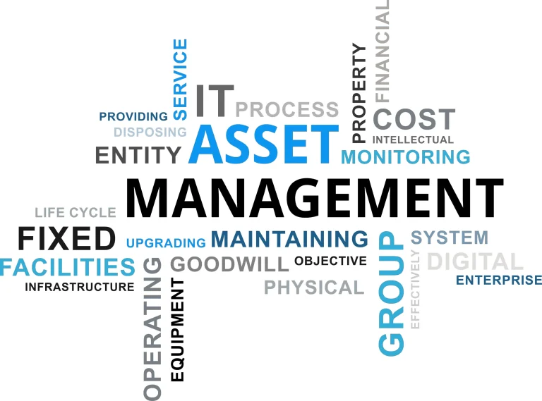 Key Success Factors for Asset Management